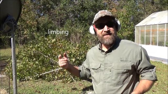 how to cut a tree down with a chainsaw