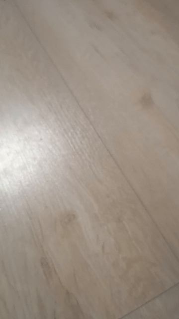1000000203.mp4