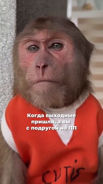 Вкусно, без стресса и без страданий сделаем твой результат!Ставь +в комментах для беспл консультации