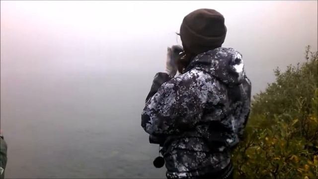 Ивановские 2016