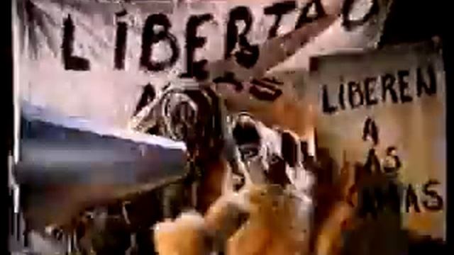 La Llama que llama - Liberen a Willy