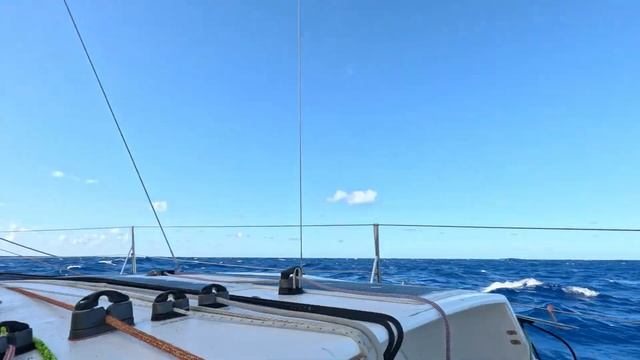 Mini Transat 2023 - Leg 2 - AUT 980 Mojo