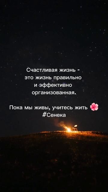счастливая жизнь #счастье #жизнь #эффект #организация #happiness #life #effect #organization #shorts