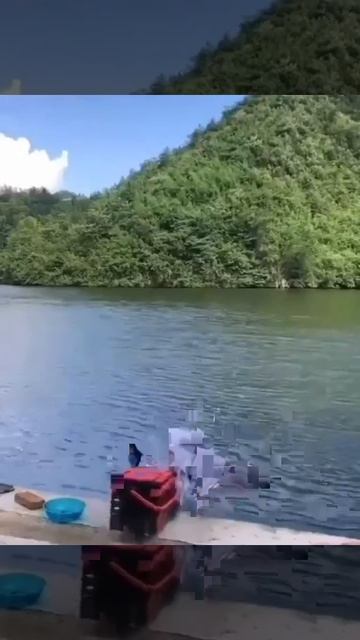 Не смог удержать. 😅👌🏻
https://t.me/FISHINGBACKPACK