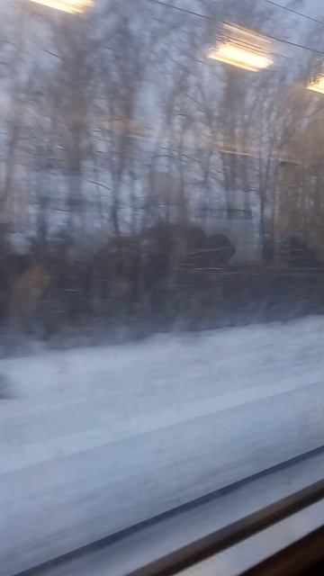 Я не ухожу