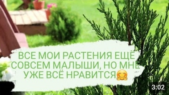 ВСЕ МОИ РАСТЕНИЯ ЕЩЁ СОВСЕМ МАЛЫШИ, НО МНЕ УЖЕ ВСЁ НРАВИТСЯ 🤗