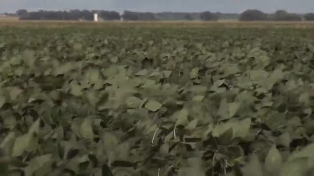 Ag Minute #535 (Air Date 4/1/11)