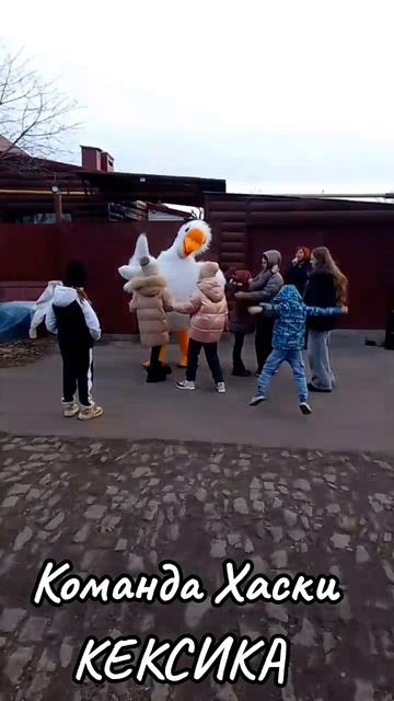 Команда Хаски КЕКСИКА