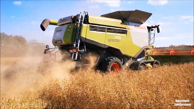 Claas Lexion 770 TerraTrac +3 weitere Lexion//Raps dreschen