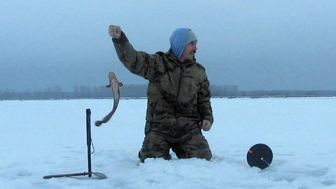 Первый, постнерестовый налим 🐡🐡🐡 Возобновляю рыбалку на жерлицы 🎣🎣🎣