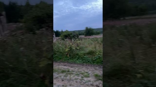 🌲🏞 Приключение на Северном Урале 🏞🌲