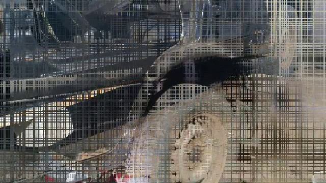 замена порогов и арок ваз 2114