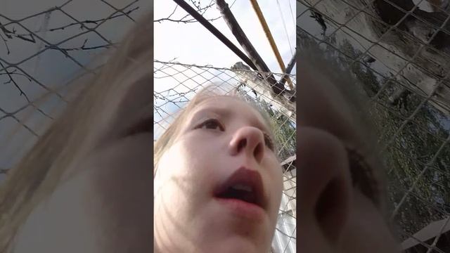 первый раз пошли на хор