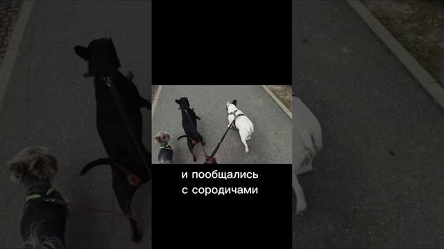 Красавчик в отеле