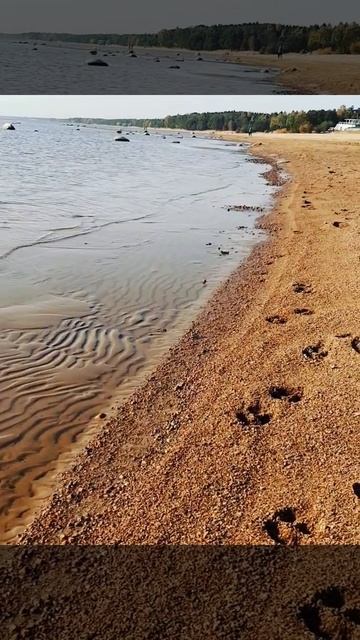 Город Зеленогорск, Курортный район  Санкт-Петербурга