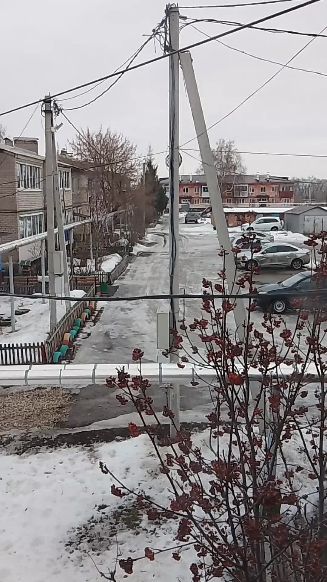 саня
