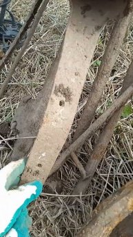 Непонятная находка на урочище.