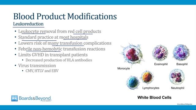 8.Blood Products