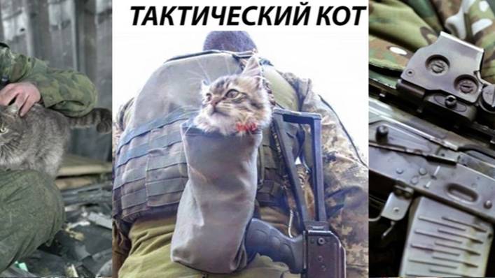 " КОТ И ФРОНТ " / " Антураж войны суров "