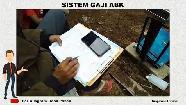 Sistem Gaji ABK Kandang Ayam Broiler