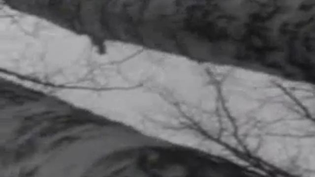 80 лет нашей ПОБЕДЕ! В конце войны