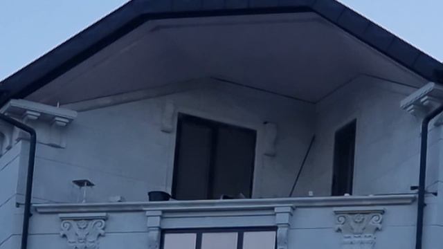 объект акуша