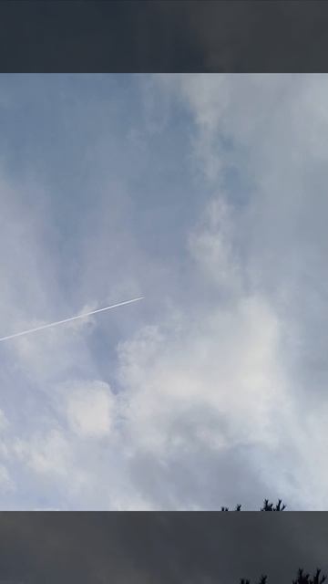 работаем братья