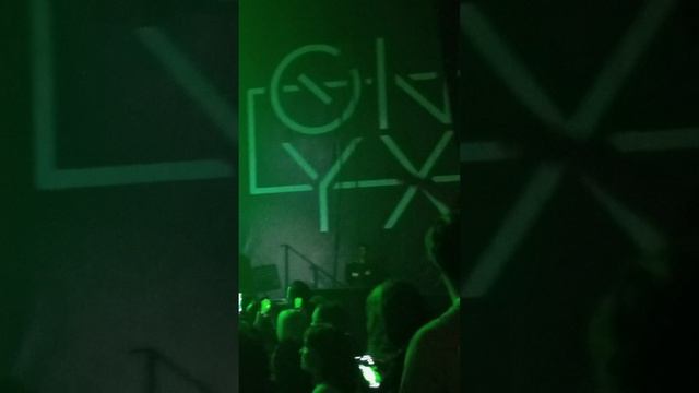 Линда, Onyx, 31.01.2025 (3)