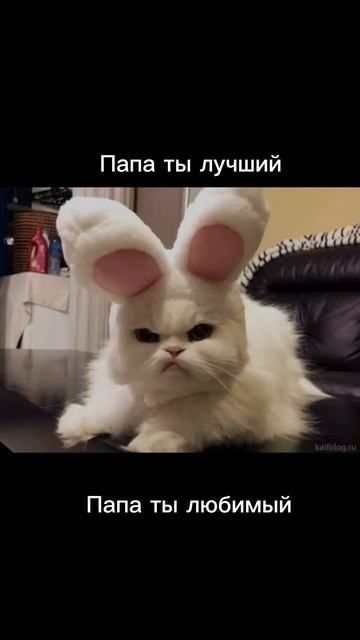 #папа #dealer #подпишись #рекомендации #любимый папа ты крутой