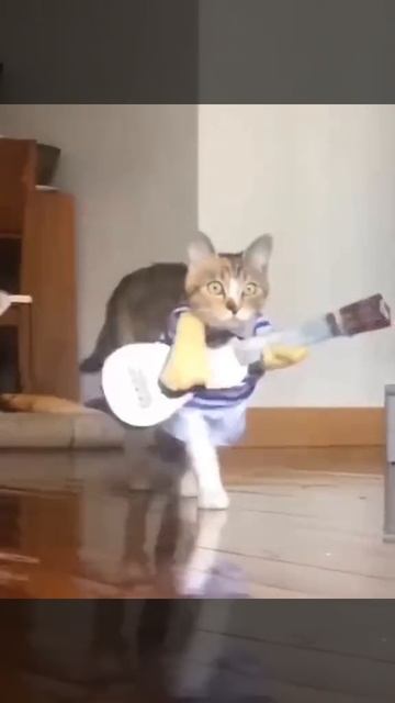 1000088018.mp4