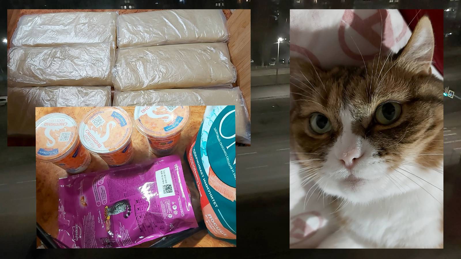 Доставка для кошки))) Опять запасы теста))) Соскучилась по работе, вдохновенье вернулось!