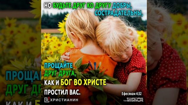 1000087464.mp4  ОБИДА.  Читает Новожилова З.Г.  Автор Наталья Шевченко.