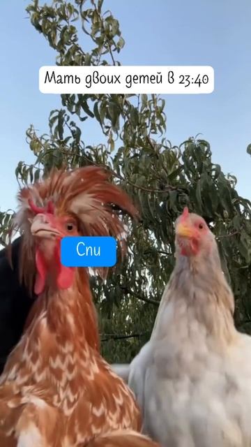 Кого узнали на этом видео?