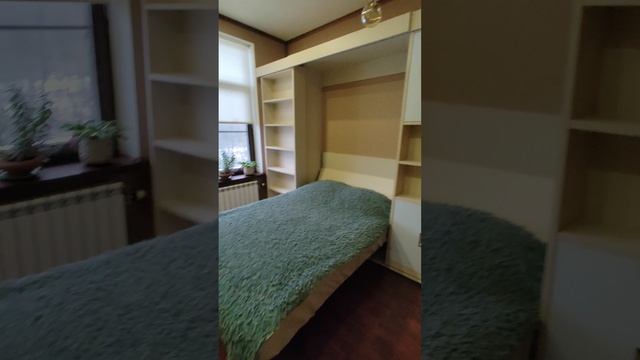 VID_20250202_094700259