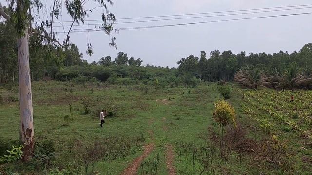 1Acre 30 gunta sale near mysore madikeri Highway.26 km from mysore,70L total,vijay7892910358