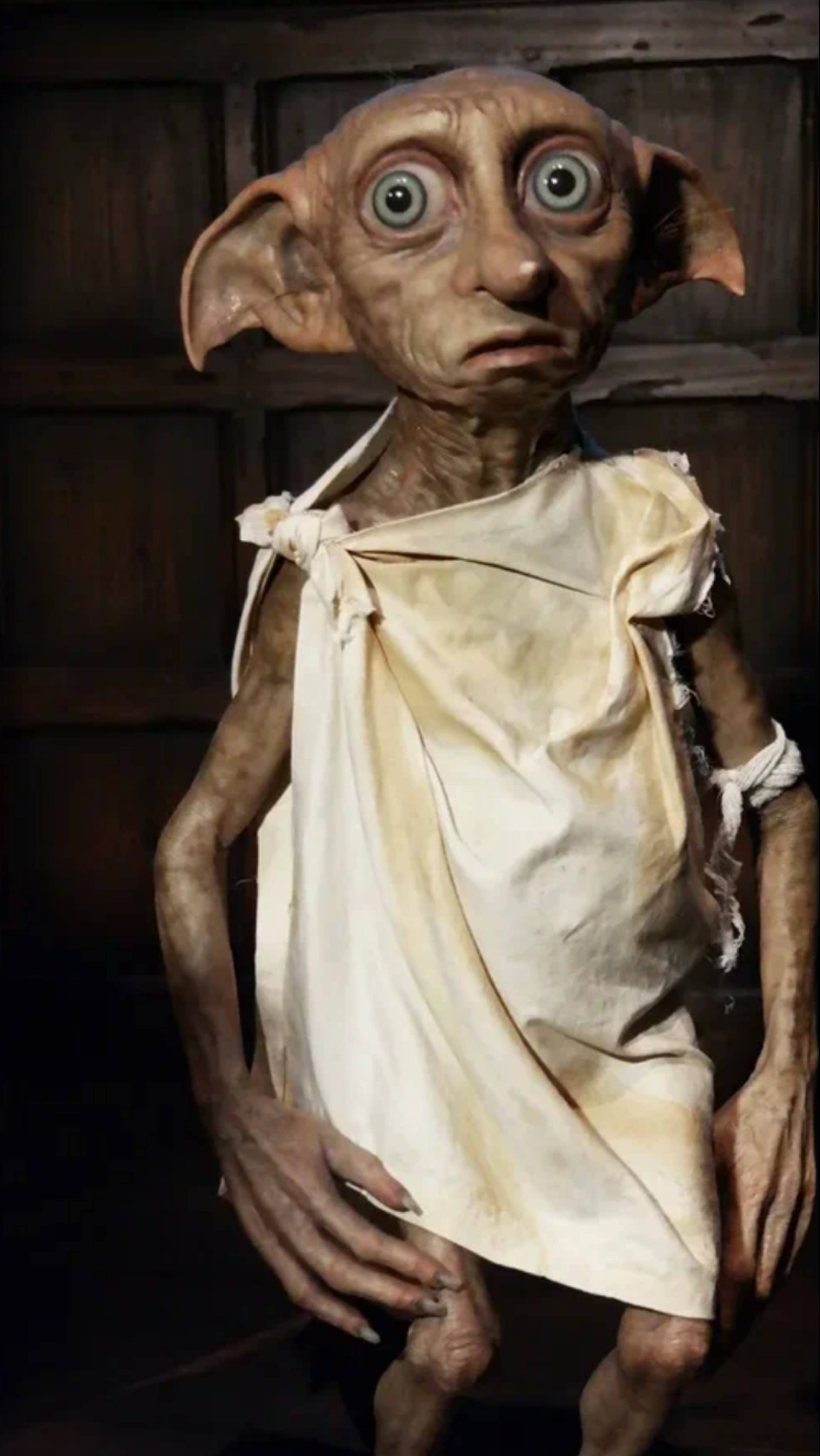 Добби едет за пивом для Винки