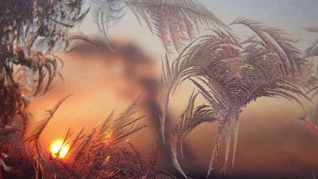 4 февраля. Традиции и обычаи дня.