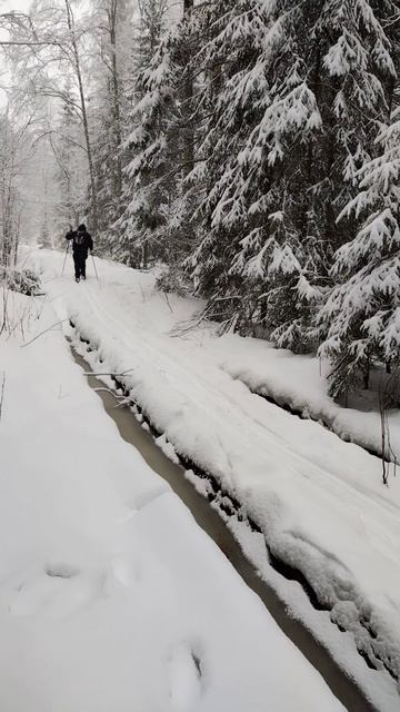 Лыжи более подробно в длином видео 02.02.25