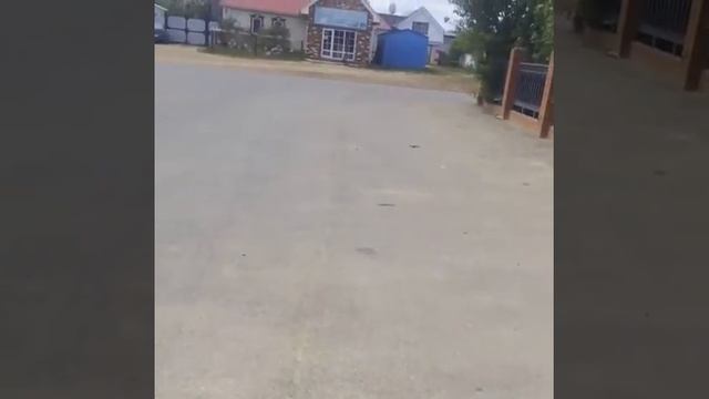 Нитро ДВС машинка