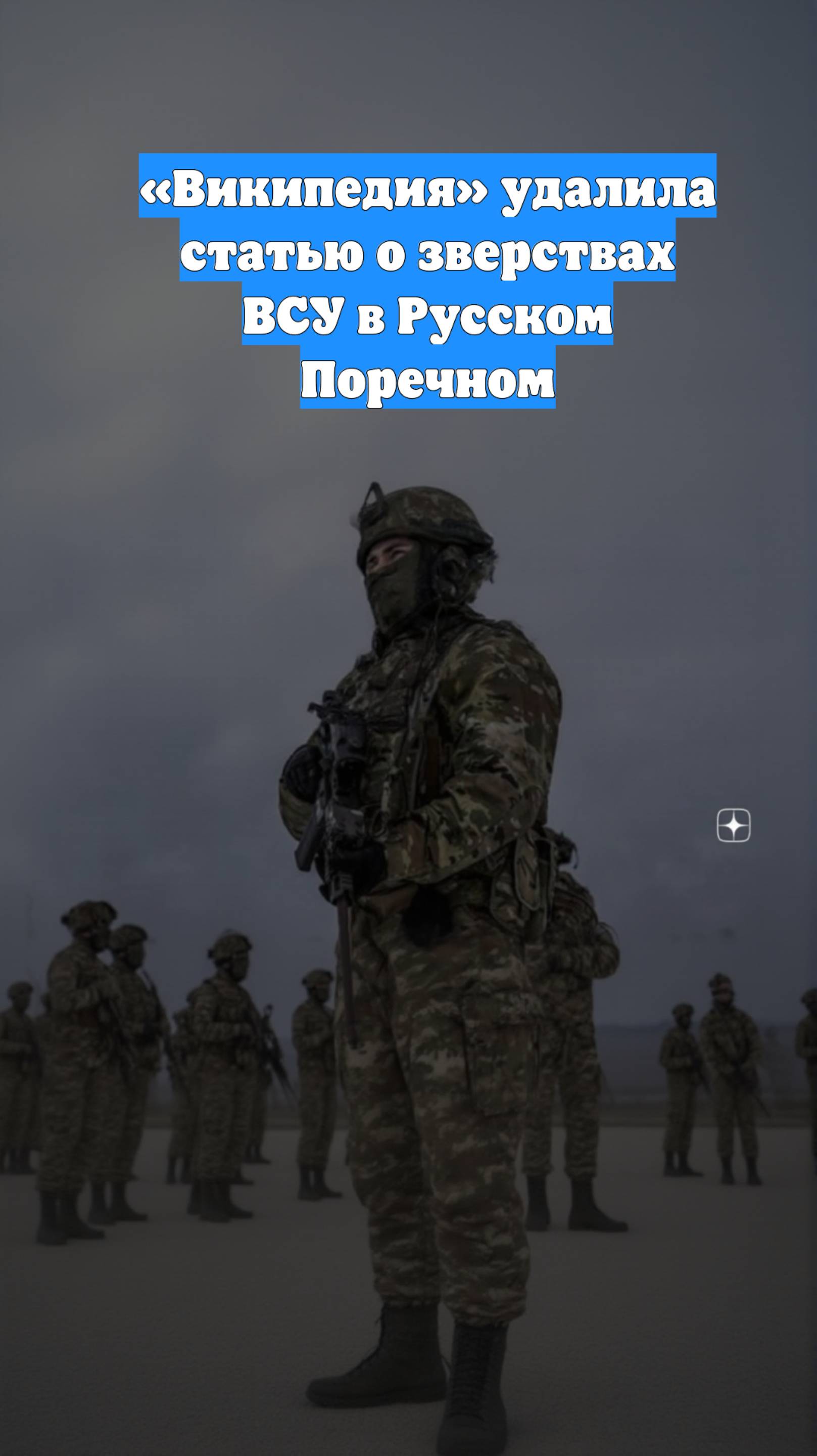 «Википедия» удалила статью о зверствах ВСУ в Русском Поречном