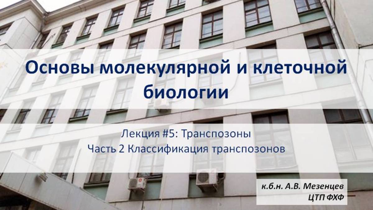 Основы молекулярнок и клеточной биологии (2024). Л. 5. Транспозоны. Ч2. Классификация транспозонов.