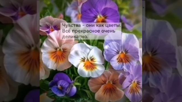 02-02-2025 ЛВЕ