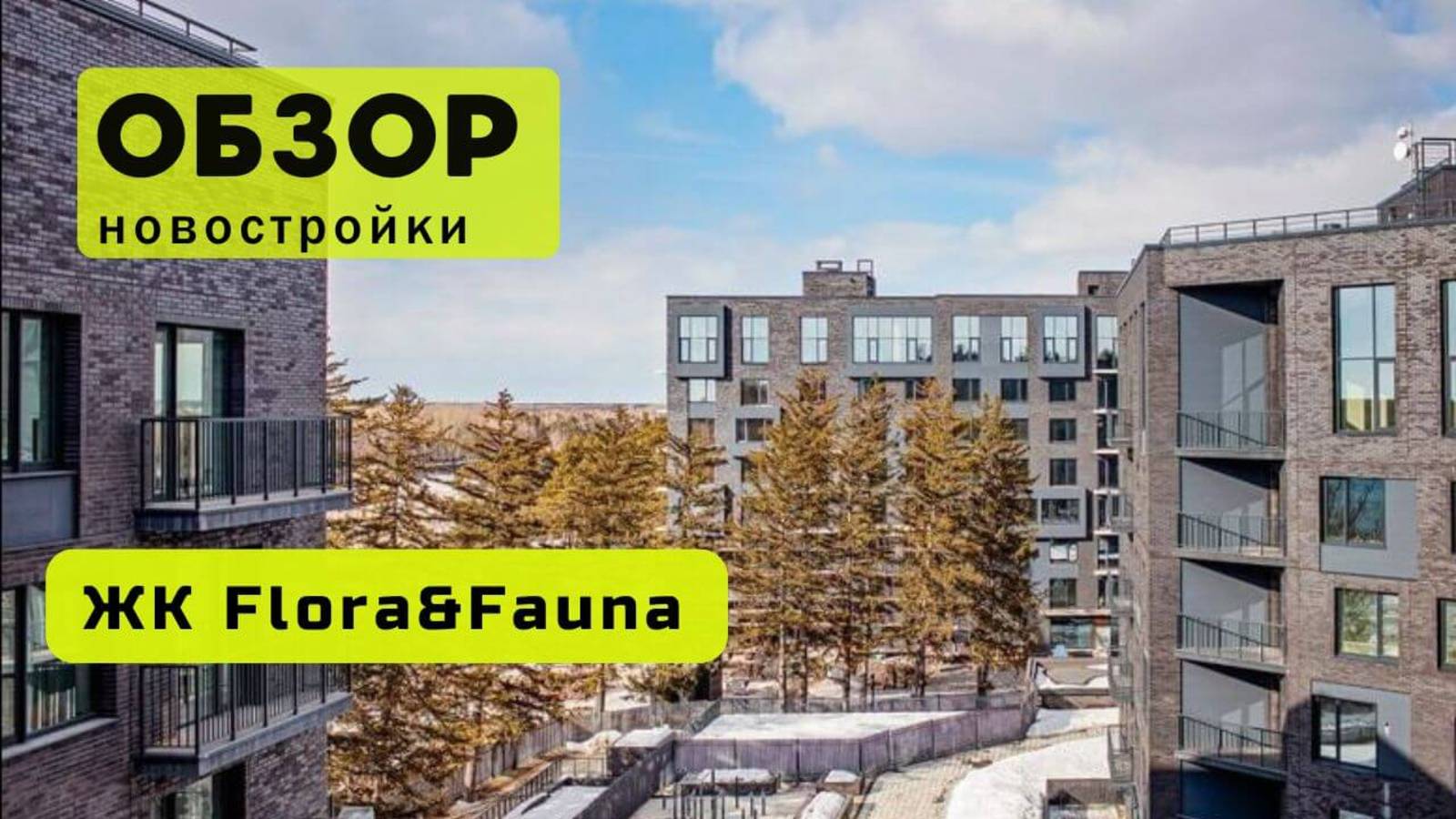 Обзор жилого комплекса «Flora&Fauna» в Новосибирске! 🏘️ ЖК Flora&Fauna обзор ЖК!