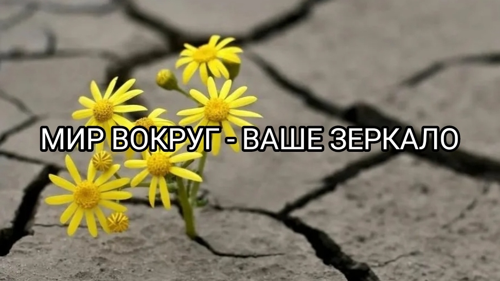 МИР ВОКРУГ - ВАШЕ ЗЕРКАЛО