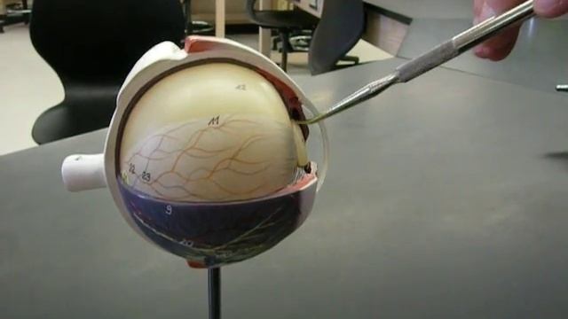 Eye 2