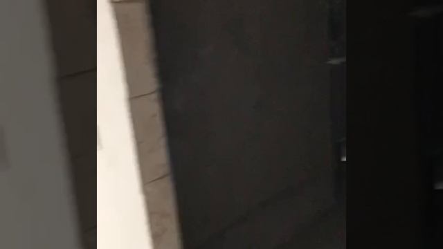 1000025978.mp4
