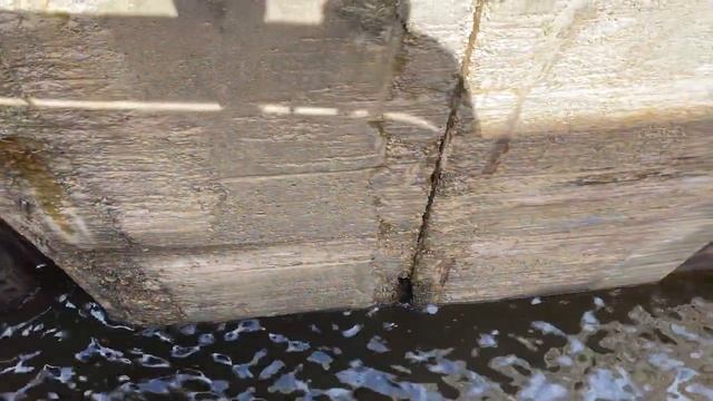 Круиз на теплоходе "Александр Радищев" из Санкт-Петербурга в Нижний Новгород (июль-август 2022)