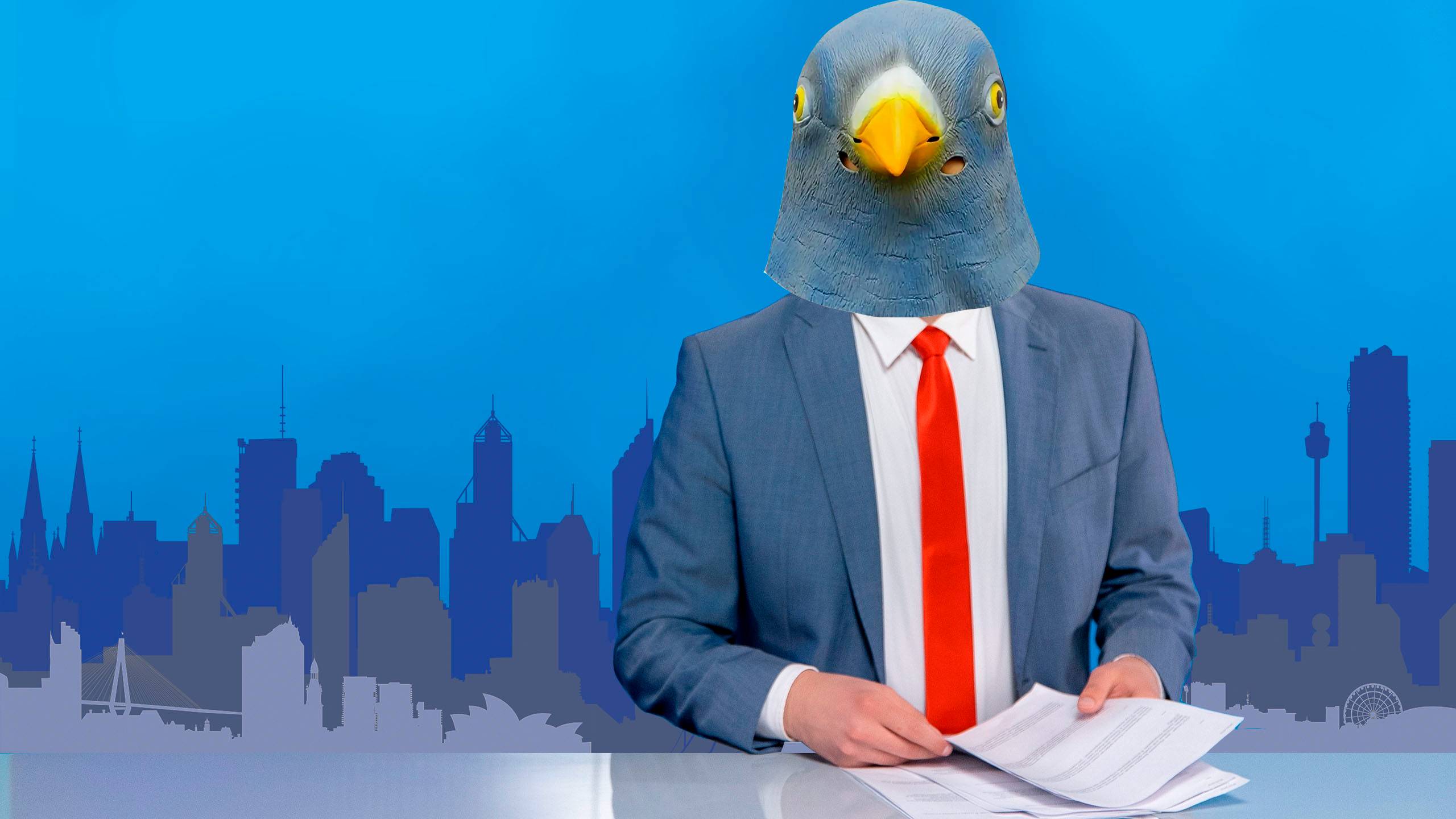 Птичьи новости на январь - Выпуск 1