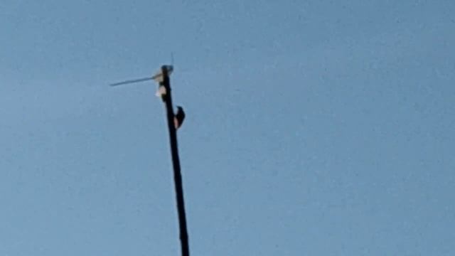 Стукач над крышей... --Нина на 200 и окружающая среда.