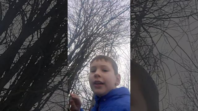 деревня Долматово часть 3